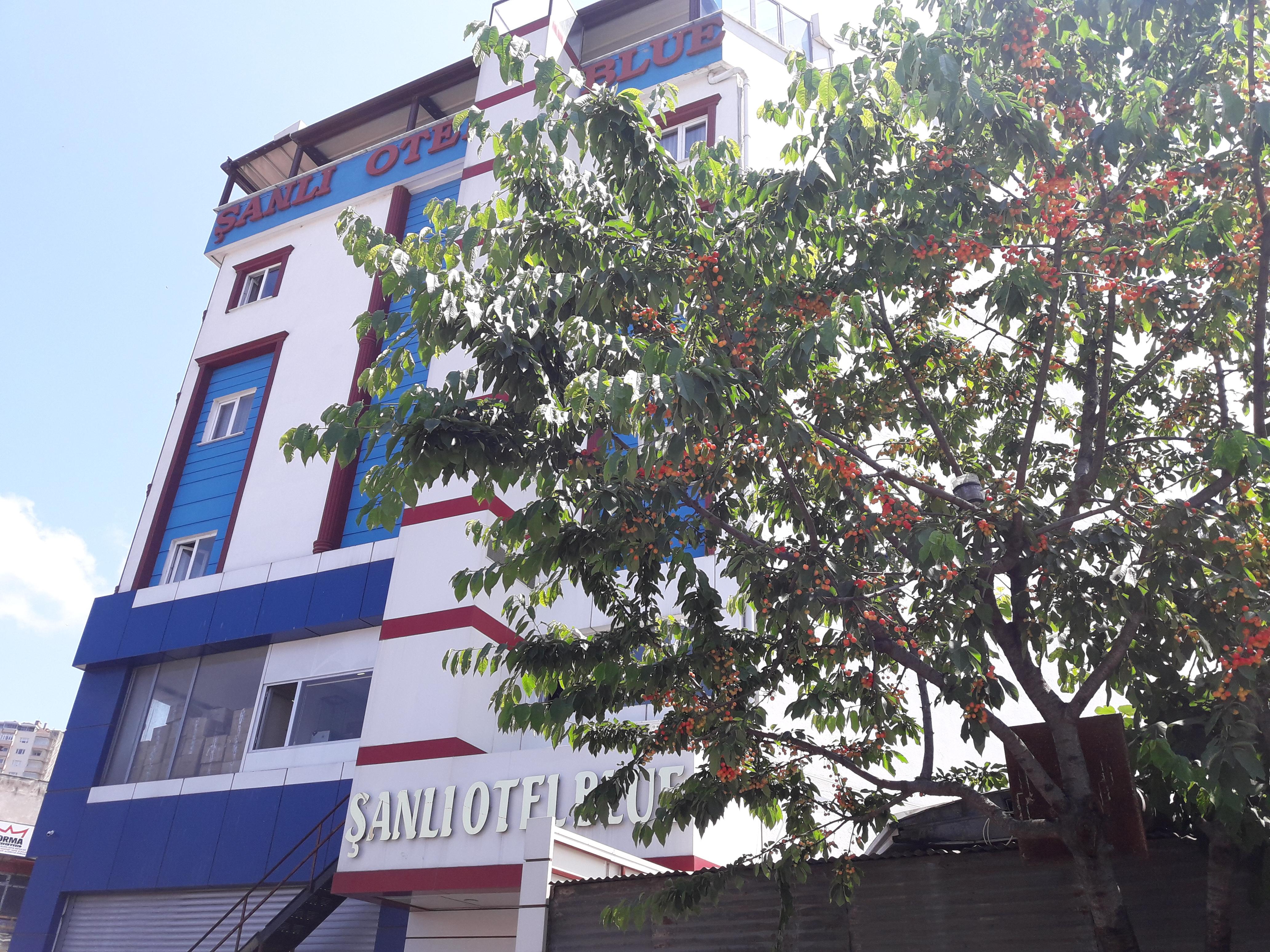 Sanli Hotel Blue Trabzon Ngoại thất bức ảnh